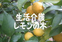 入所サービス