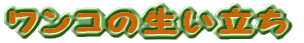 �����R�̐�������