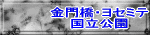 TtXVXR 