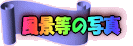 i̎ʐ^