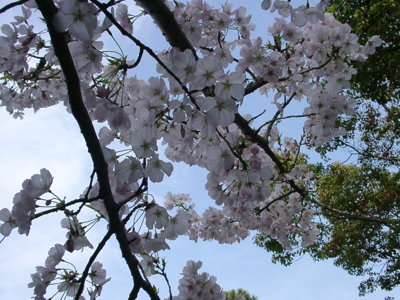 ���E�z��"