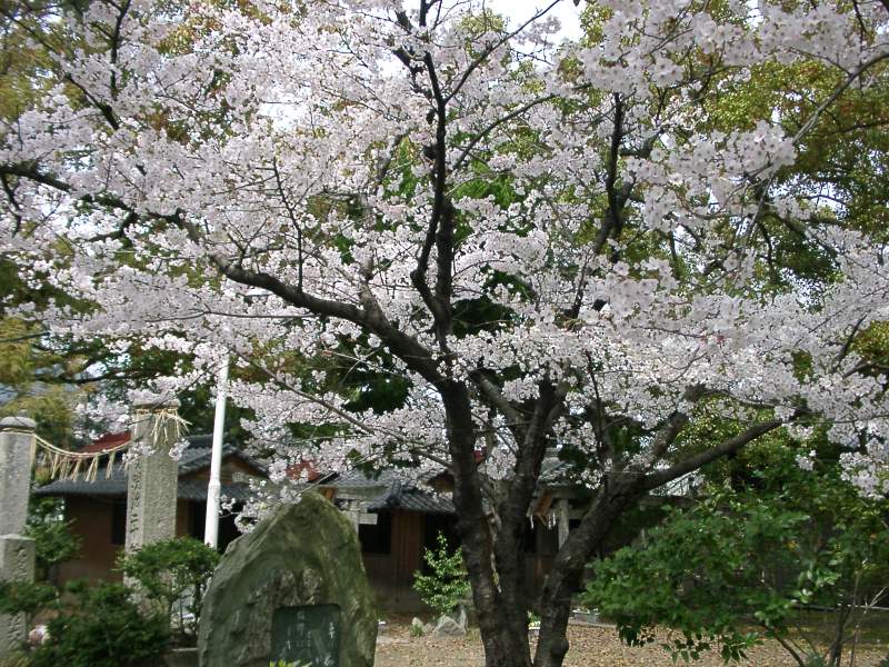 ���E���Ԍ�"