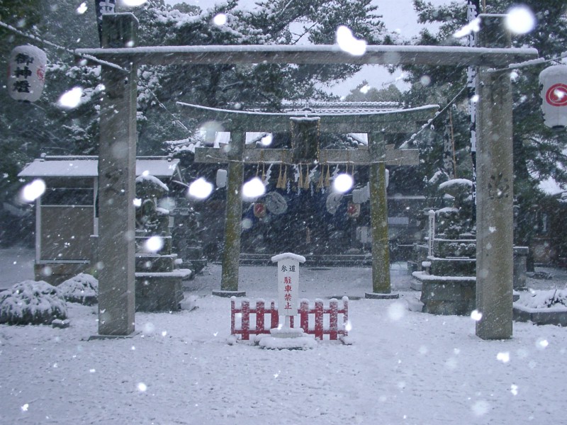 ��E���̒���"