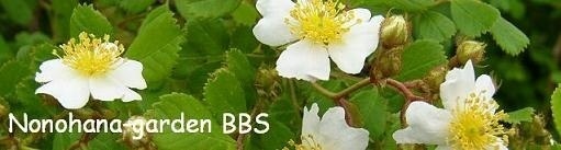 ��̉ԃK�[�f��BBS
