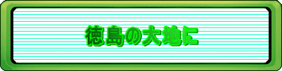 ̑n