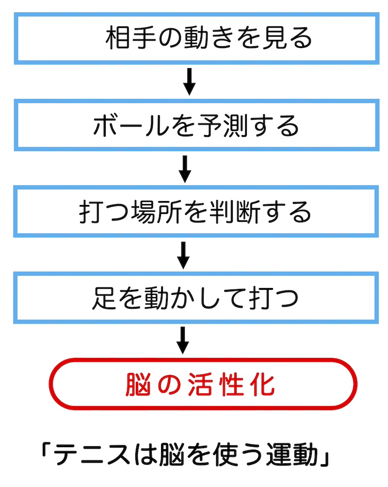 テニスは脳を使う運動