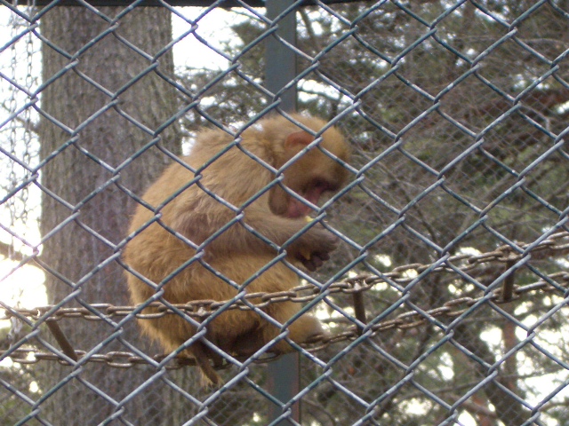 �j�z���U��