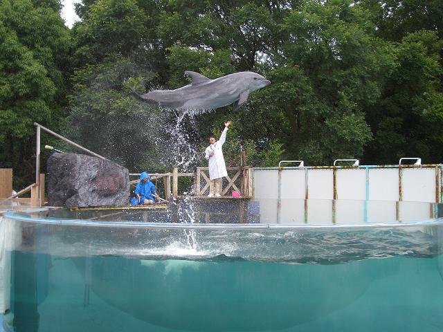 �V����������