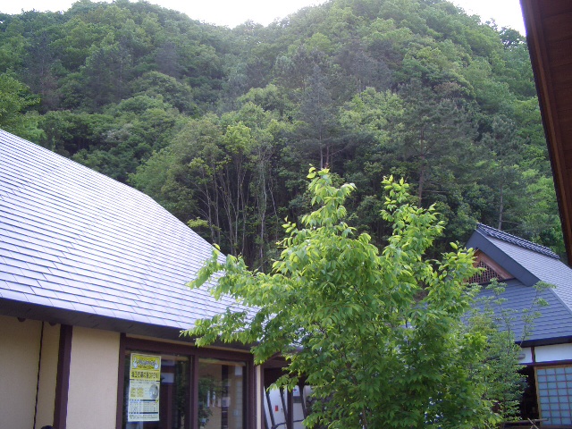 ���̉w�E���]